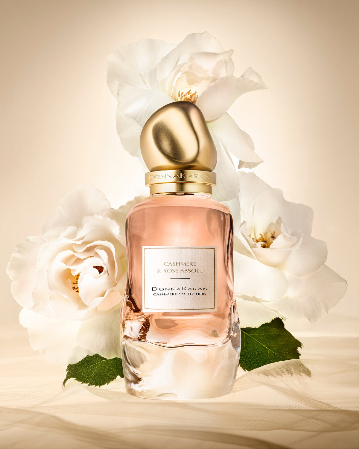 CASHMERE & ROSE ABSOLU 100 ML - No Color