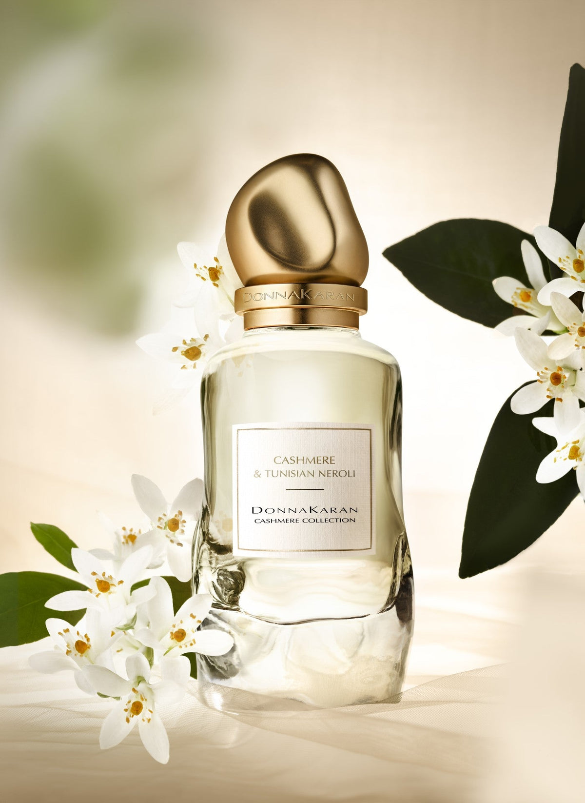 CASHMERE & TUNISIAN NEROLI 100ML -
